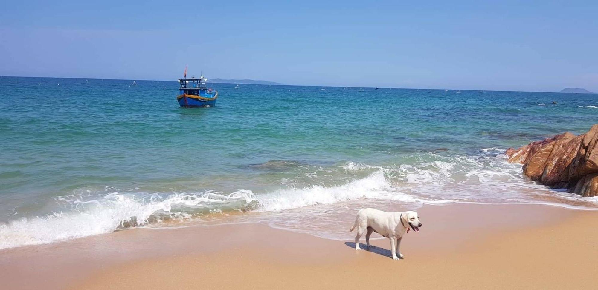 Life'S A Beach กวีเญิน ภายนอก รูปภาพ